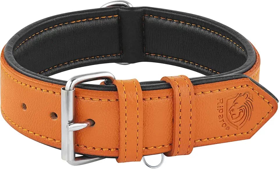 Riparo Echtes Leder Verstellbares Hundehalsband mit Zusätzlicher Verstärkung (L: 3,8CM Breit für 43,2CM - 53,3CM Hals, Orange)