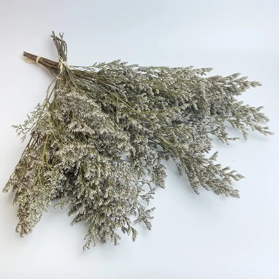 Preserved Caspia Statice Flower Bouquets, 100% Natural Long Lasting Flowers, 17 Inch Arrangements for Vase, Home Decoration Photo Props Parties and Weddings, DIY Décor-Statice
