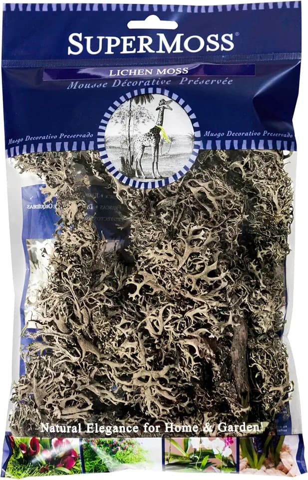 SuperMoss Branched Lichen Parmelia, Natural Grey