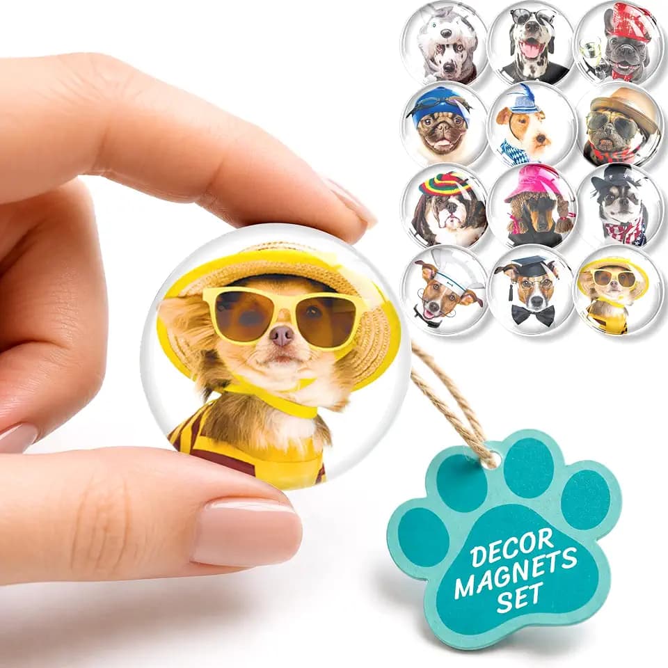 Super Cute Glass Fridge Magnets, Goofy Dogs, 12 pcs