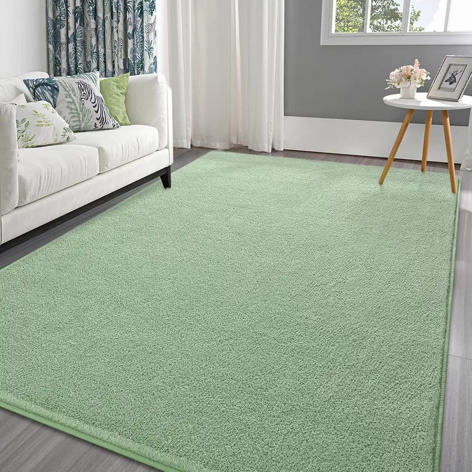 Pettop 5x7 ft Light Green Area Rugs for Bedroom Living Room, Washable Memory Foam Indoor Carpet, Modern Aesthetic Minimalist Non Slip Soft Comfy Carpet for Boys Girls Dorm Home Decor