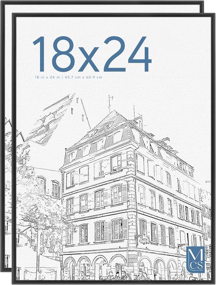 MCS Original Poster Frame, 18x24, Black, Gallery Wall, 2-Pack