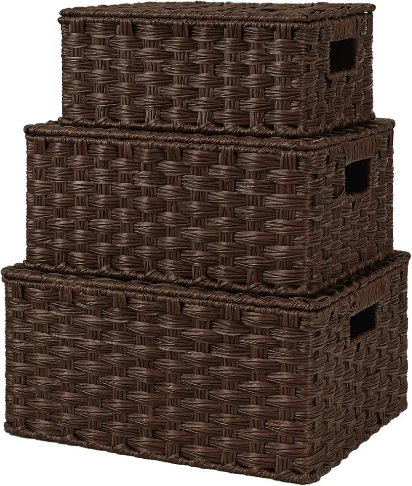 GRANNY SAYS Wicker Baskets with Lids, Decorative Storage Boxes with Lids