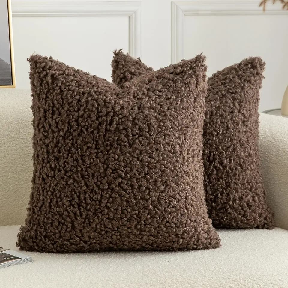 Pack of 2 Curly Teddy Wool Faux Fur Throw Pillow Covers Fuzzy Accent Soft Sherpa Pillowcases Sheepskin Fleece Decorative Cushion Case for Sofa Couch Living Room 26x26 Inch Chocolate