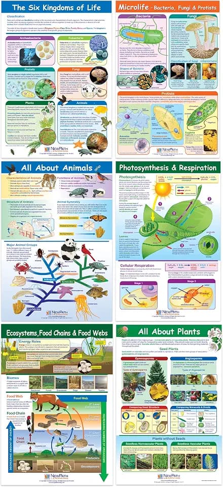 NewPath Learning Life on Earth Posters, Set/6 (Six Kingdoms, Plants, Photosynthesis/Respiration, Animals, Ecosystems/Food Chains/Food Webs, Microlife) - Laminated, Full-Color, 23" x 35" (34-9703)