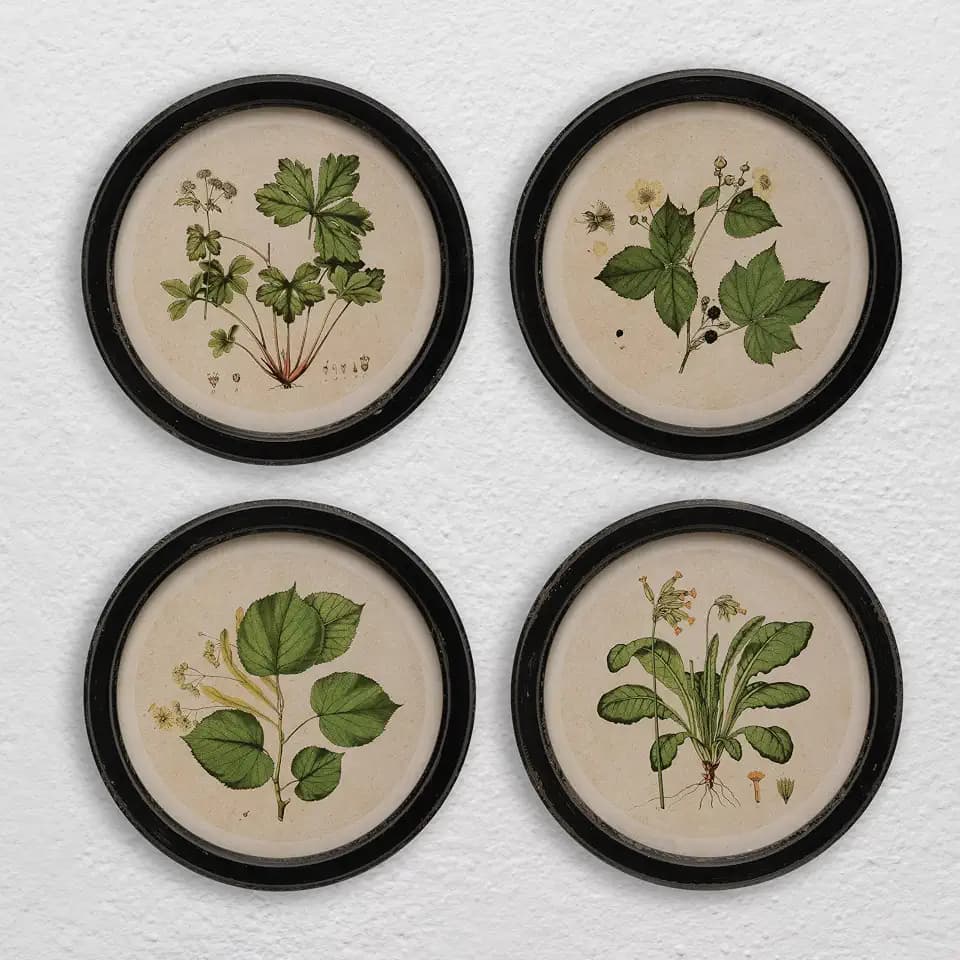 Creative Co-Op Wood Framed Wall Décor with Vintage Reproduction Botanical Print, Multicolor, Set of 4