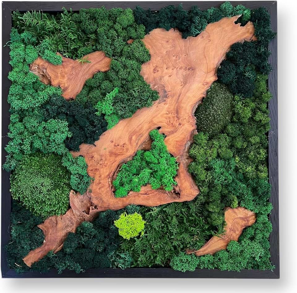 Serenzy 12" Square Cedar & Preserved Moss Wall Art | Unique No-Maintenance Decor for Home, Office, Restaurant, Angled Wood