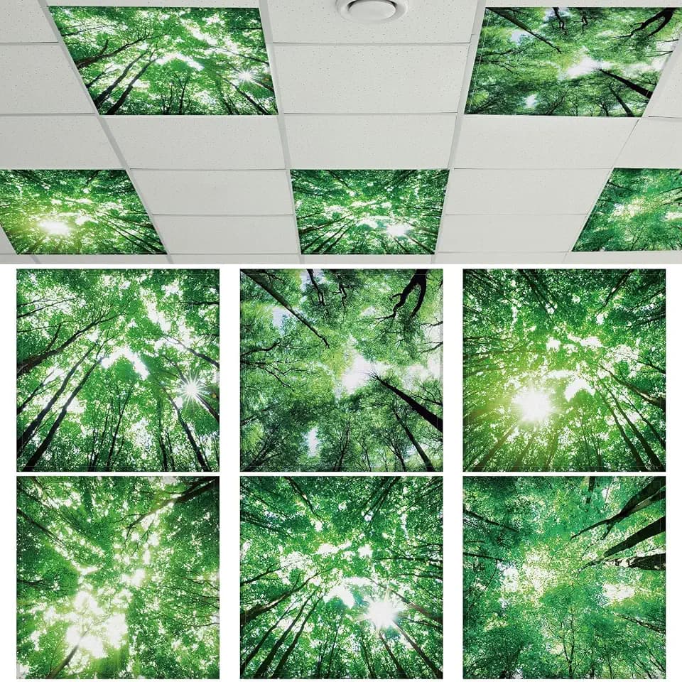 QOUBAI 6PCS Fluorescent Light Covers, 2x2 Feet Magnetic Light Cover Fluorescent Lights Shade Panel Positive Inspirational Ceiling Lights Filters for Office Classroom Home Drop Ceiling Forest