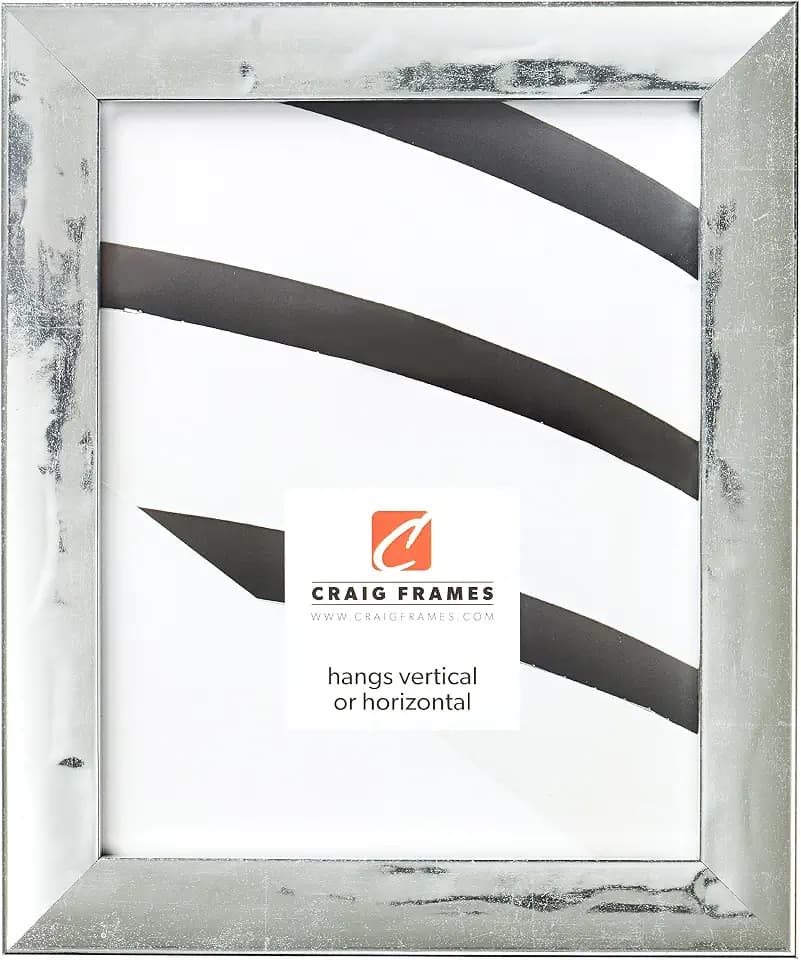 Craig Frames 7742 Allure Picture Frame, 11" x 17", French Silver