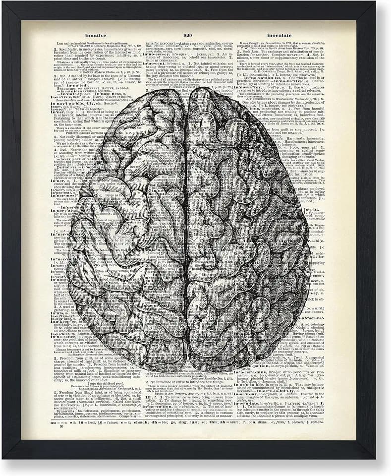 Poster Master Human Brain Print - Anatomy Poster - Dictionary Art - Gift for Him, Her, Doctor, Nurse - Great Wall Decor for Clinic, Hospital, Office - 8x10 UNFRAMED Wall Art