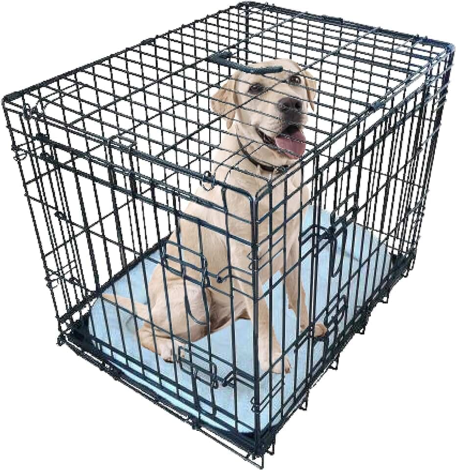 Ellie-Bo Hundekäfig, für kleine bis große Hunde, zusammenklappbar, mit Hundedecke, Metall-Bodenschale lässt sich herausnehmen, aber nicht zerbeißen, 2 silberne Türen, sehr groß mit 107 cm, schwarz