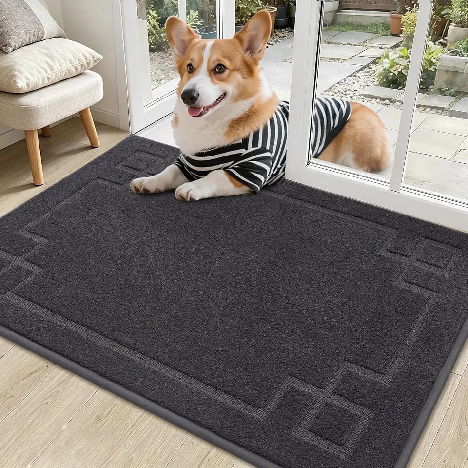 BEQHAUSE Door Mat 24" x 36", Non-Slip Door Mats Indoor Washable, Dark Grey