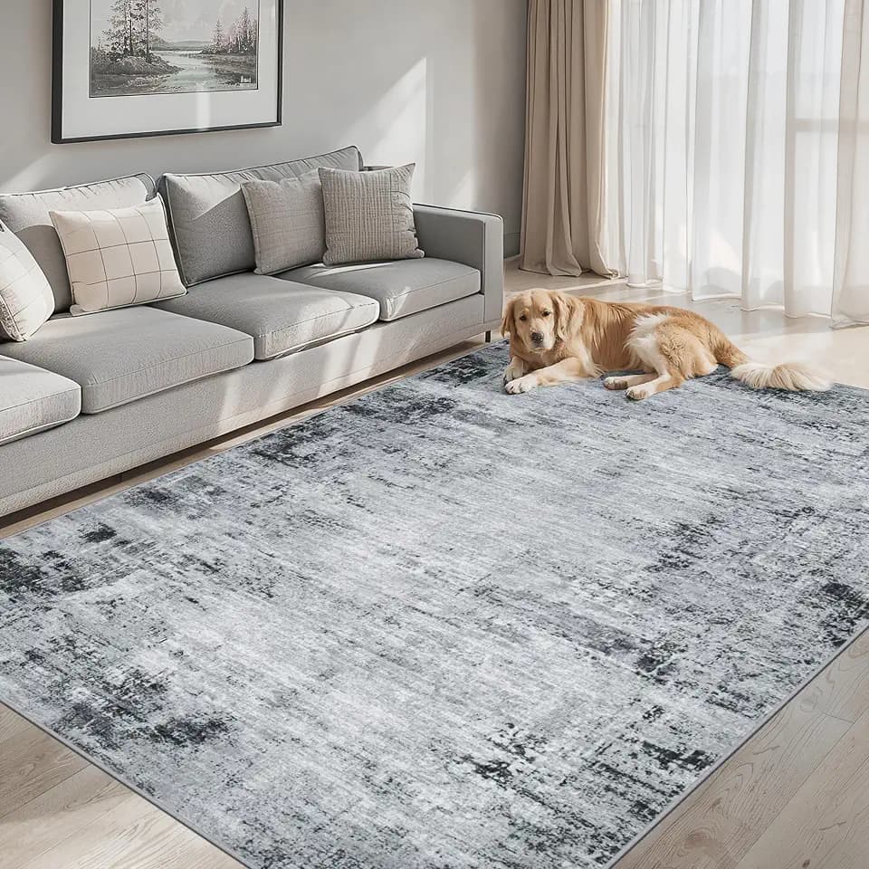 PLHXFR Area Rug Living Room: 5x7 Modern Abstract Washable Carpet Black
