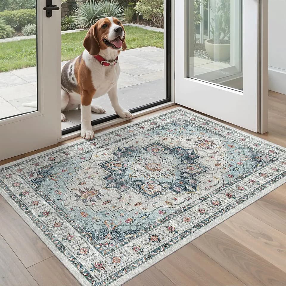 Madane Washable Entry Rug 3x4 Area Rugs for Entryway Kitchen, Blue