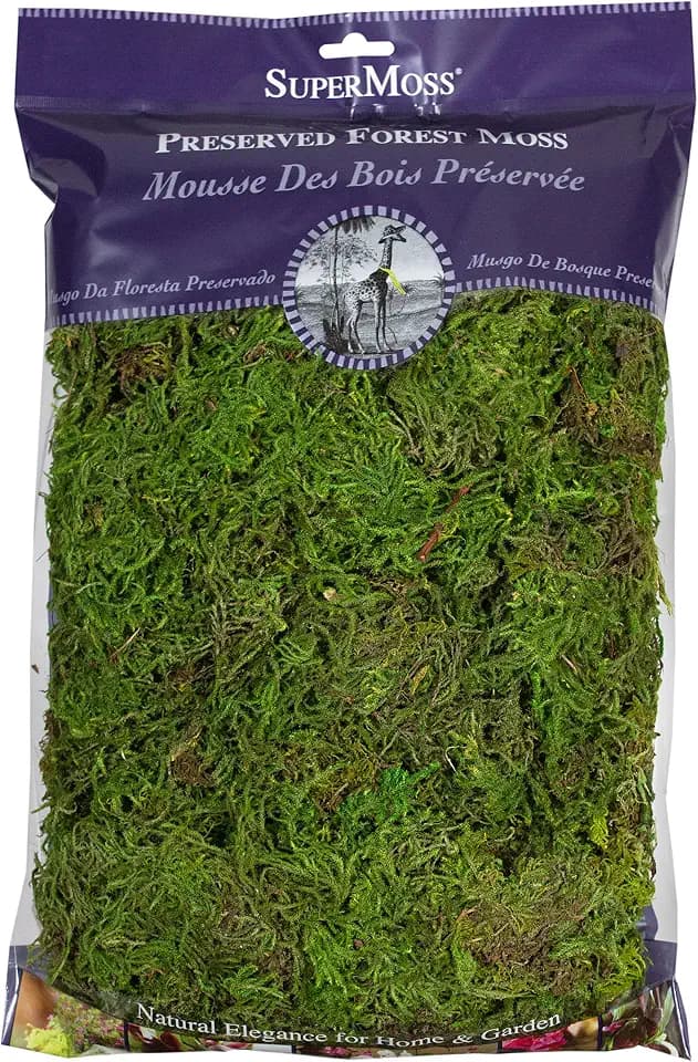 SuperMoss (25322) Forest Moss Preserved, Fresh Green, 8oz